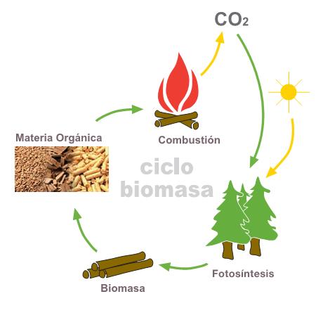 Ciclo de la biomasa